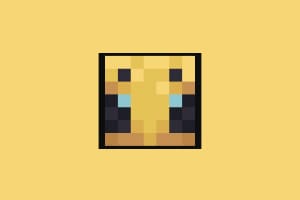 Minecraft Arısı