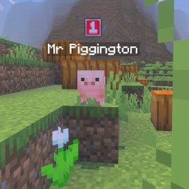 A baby pig named “Mr Piggington” stands on a grassy hill in a Minecraft overworld landscape, with a level indicator icon above its name and pumpkins nearby.